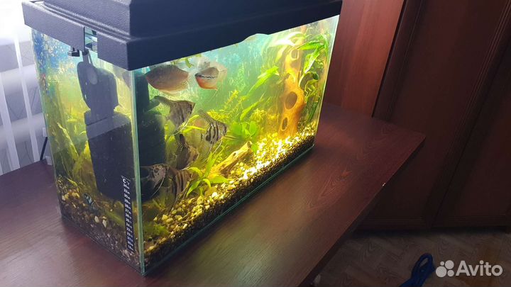Аквариум