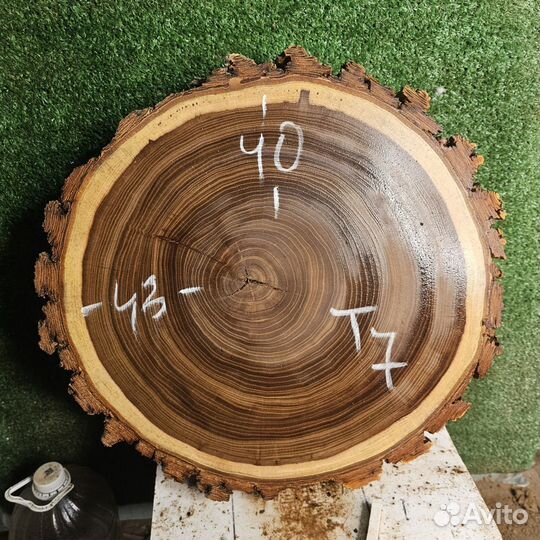 Спилы Карагача