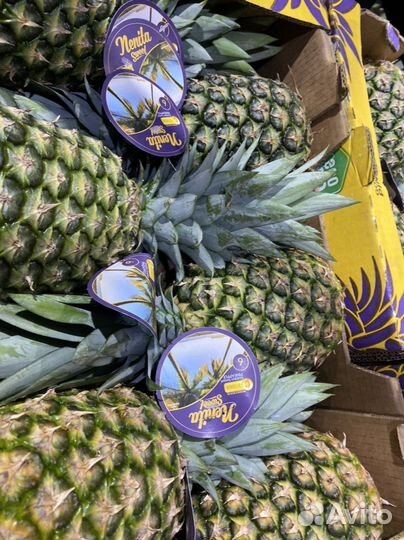 Ананас голд