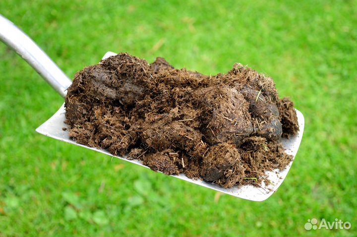 Продам конский навоз