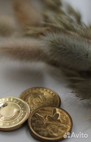 Монетный аттракцион