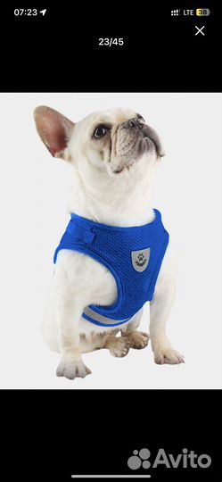 Шлейка-жилет с поводком