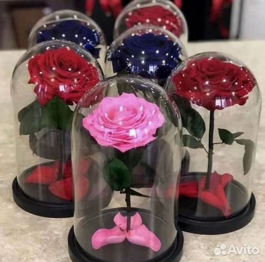 Роза в колбе