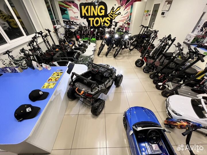 Электроскутер Citycoco SkyBoard BR4000 Fast