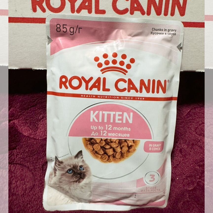 Влажный корм для кошек royal canin kitten