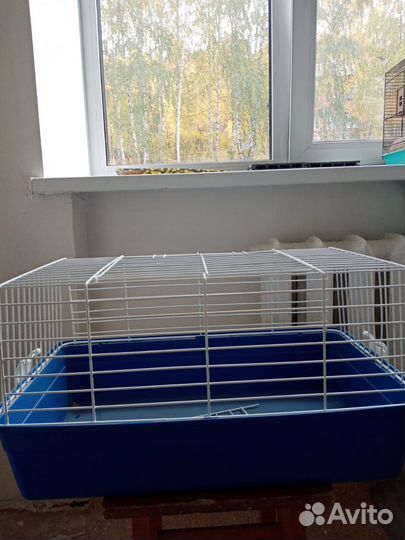 Клетка для грызунов