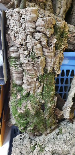 Кора пробкового дуба