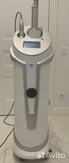 Эндосфера аренда