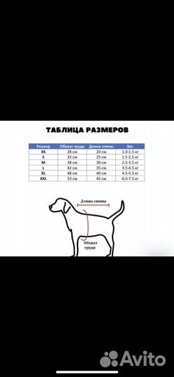 Одежда для собак новая