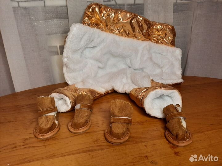 Вещи для маленьких собак