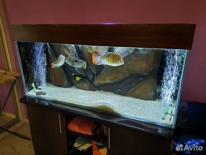 Аквариум