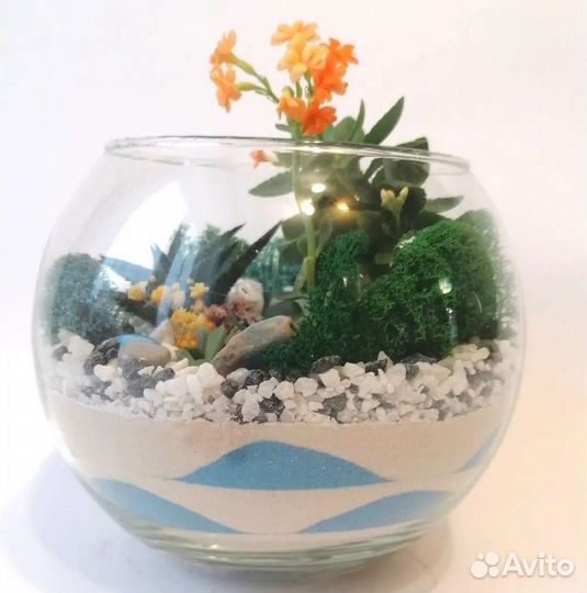 Флорариум/Моссариум