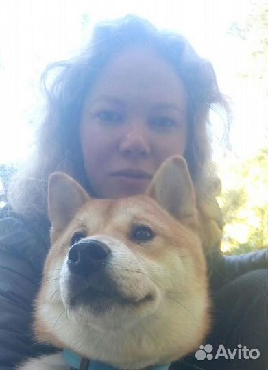 Передержка собак,без клеток и стресса