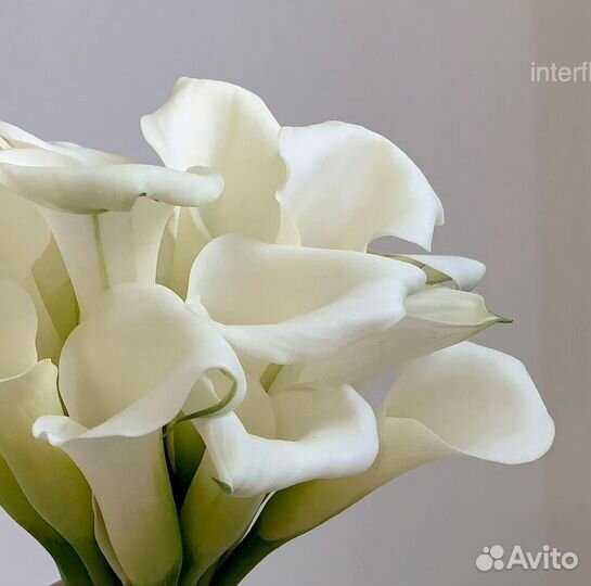 Каллы Букет невесты из калл