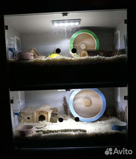 Стеллаж, витрина для хомяков