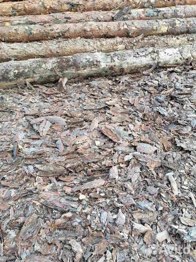 Кора сосны (мульча)