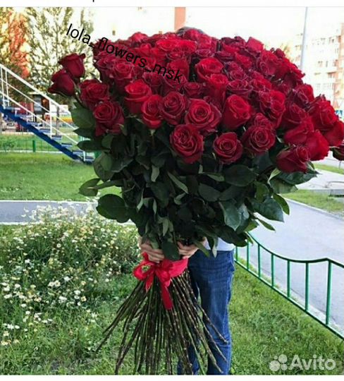 Высокие розы (L -100 до 200 см.)