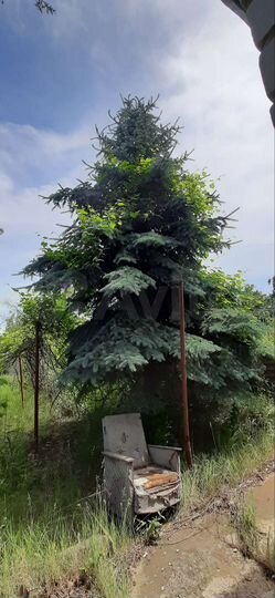 Дача 50 м² на участке 6 сот.