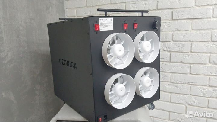 Промышленный озонатор (100 гр)