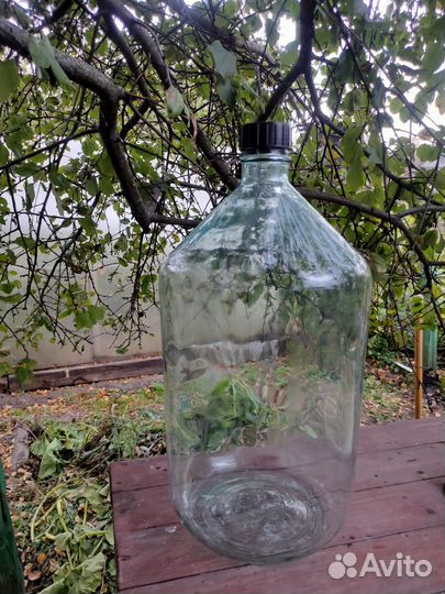 Бутыль стеклянная 20 литров
