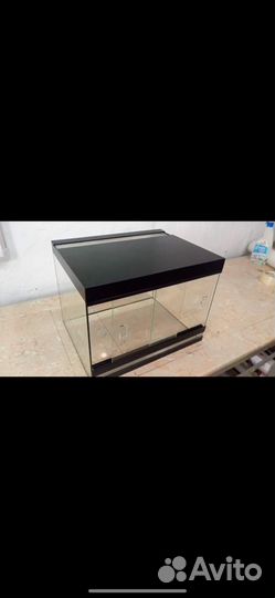 Террариумы для рептилий