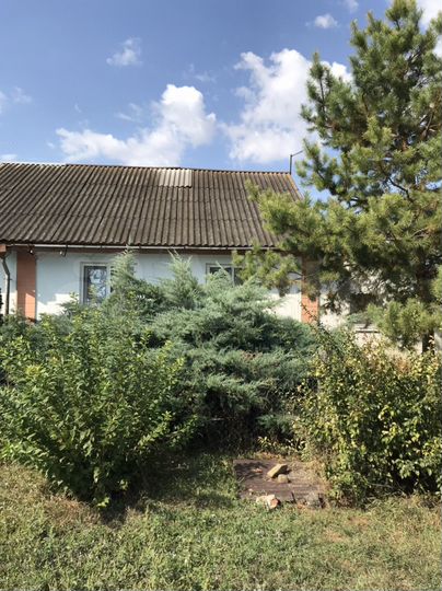 Дом 80 м² на участке 6 сот.