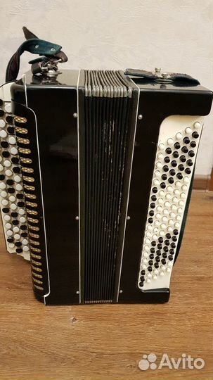 Баян советский 