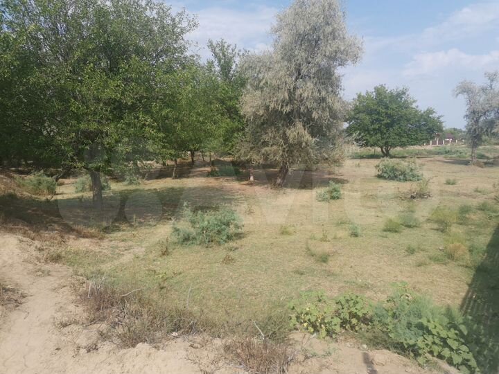 Участок 1,29 га (ИЖС)