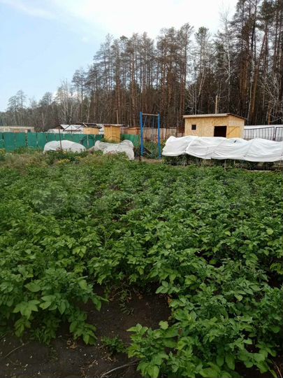 Участок 5 сот. (СНТ, ДНП)