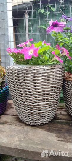 Кашпо для цветов