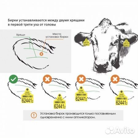 Ушные бирки для крс 30 шт двойные Вест Беларусь