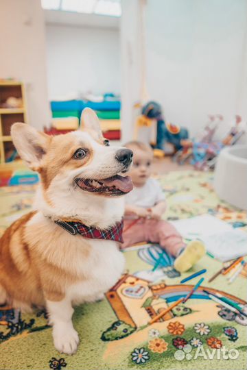 Частный детский сад набор