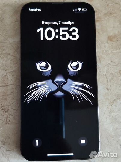 iPhone 13 Pro, 256 ГБ