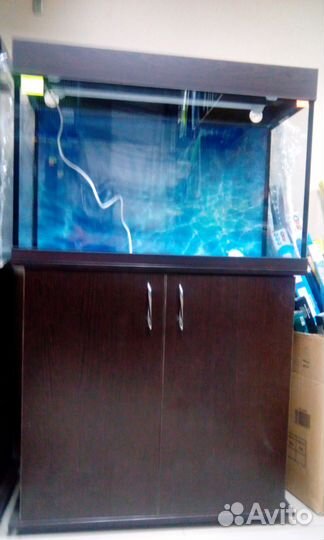 Панорамные аквариумные комплексы