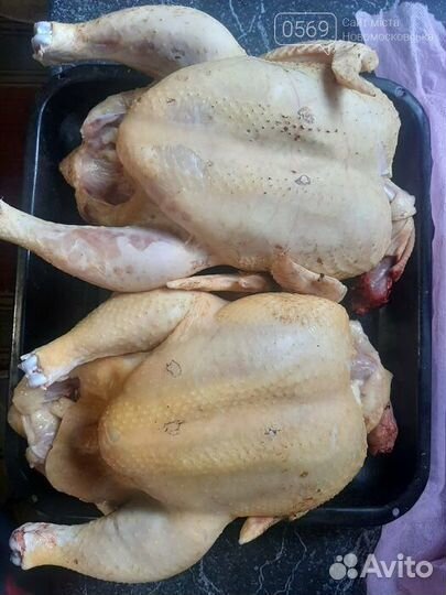 Мясо домашнего бройлера