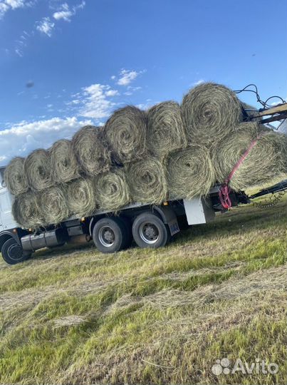 Сено с даставкой