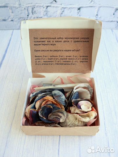 Морские ракушки для творчества