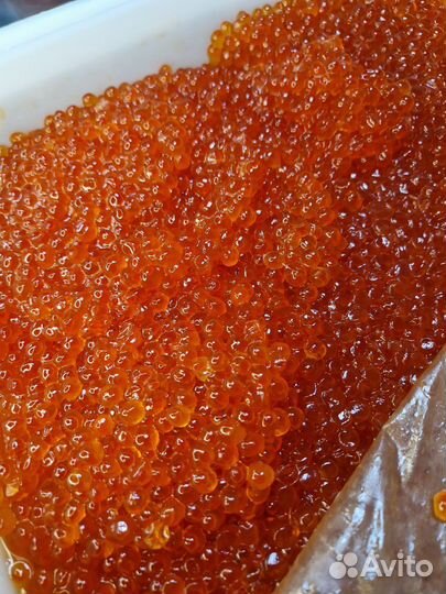 Крабы, клешни крабов, фаланга, салат крабов