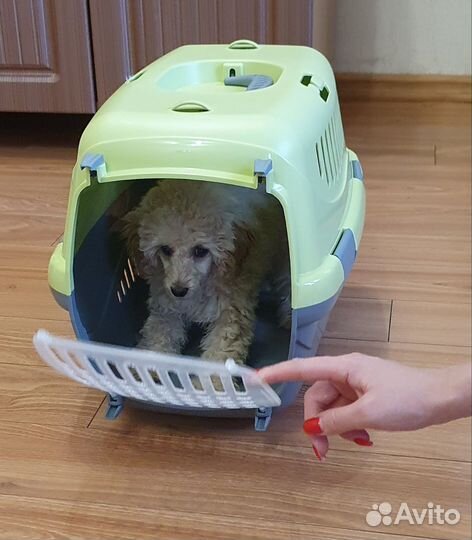 Переноска для животных новая