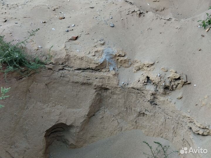 Приму грунт бесплатно