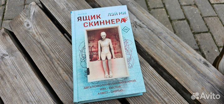 Книга Ящик Скиннера. Лэй Ми