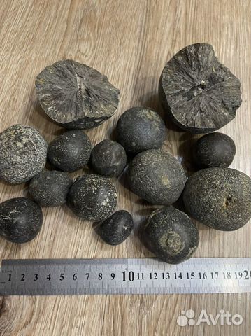 Фосфориты, конкреции фосфоритов