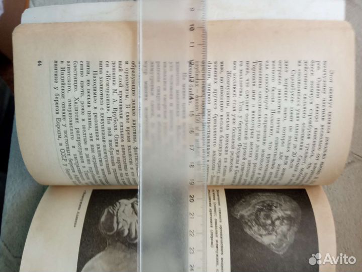 Жемчуг. Б.И.Сребродольский