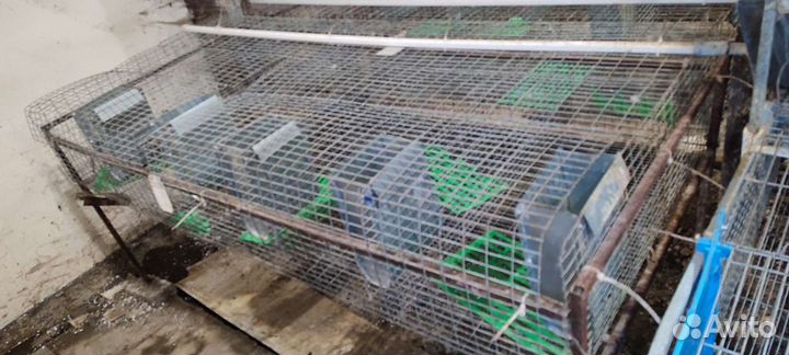 Клетка для кролика, кур