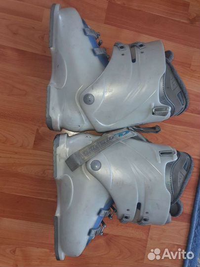 Горнолыжные ботинки dalbello