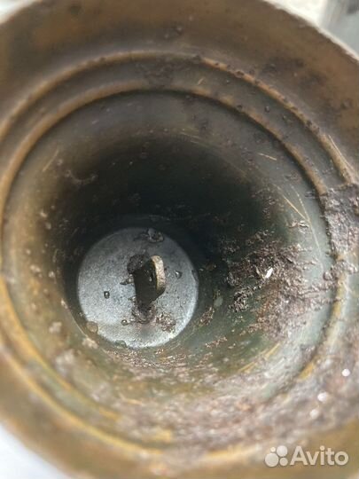 Поддужный колокольчик