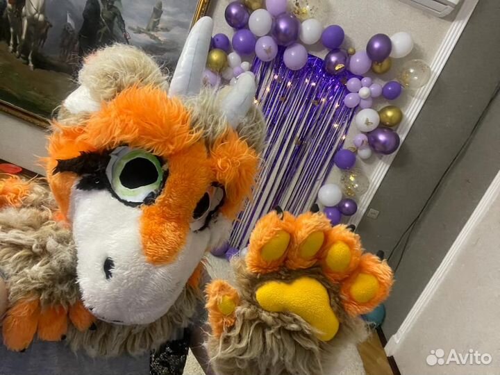 Фурстьют,костюм