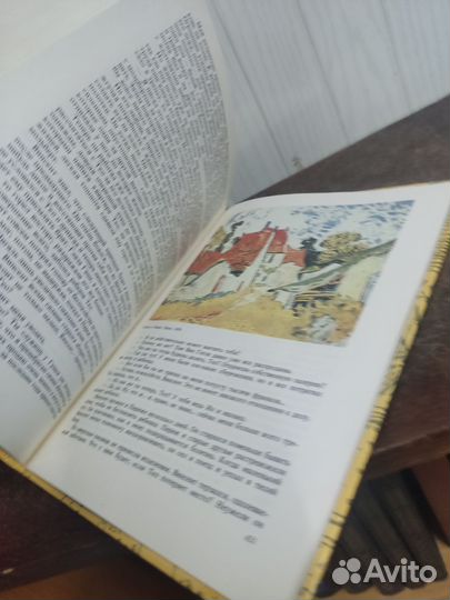 Ирвинг Стоун. Жажда Жизни