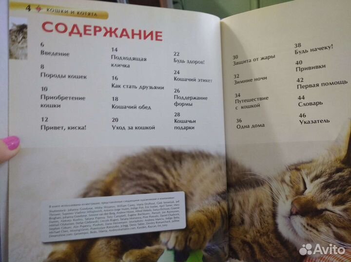 Энциклопедия. Кошки и котята
