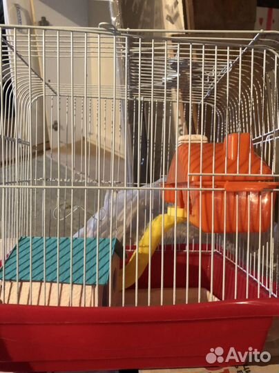Клетка для грызунов